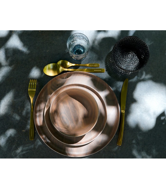 Titanium gold plated spoon