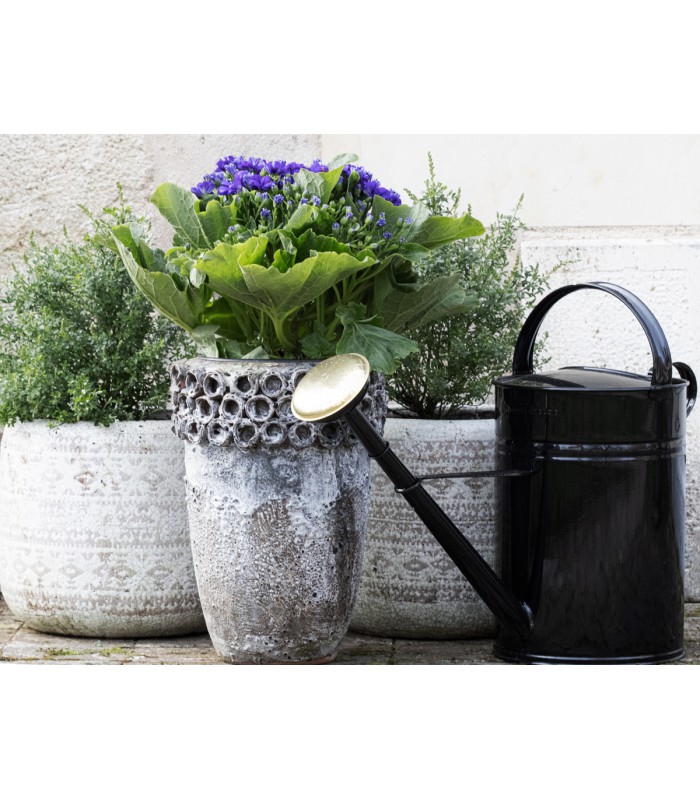 Arrosoir noir et doré