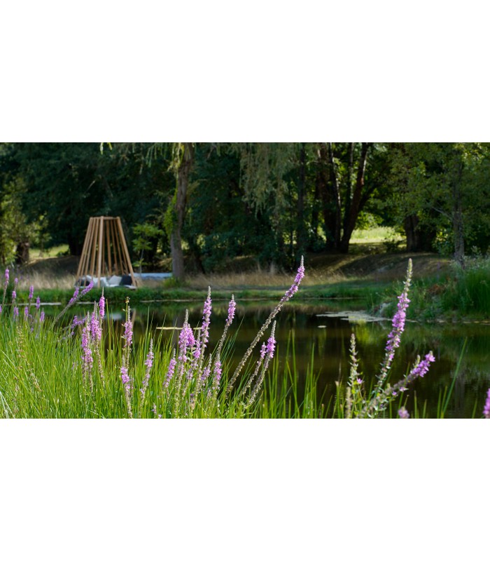 Hammam Towel Palm Tree White