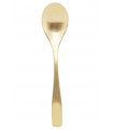 Titanium gold plated spoon