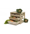 Vegetable Storage