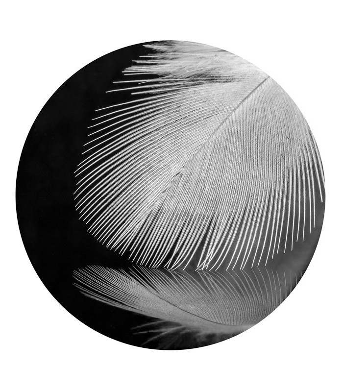 Circle feather
