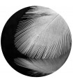 Circle feather