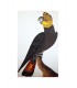Oiseau_4 Oiseau_4